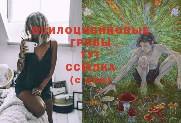jwh Верея