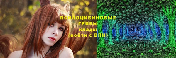 jwh Верея